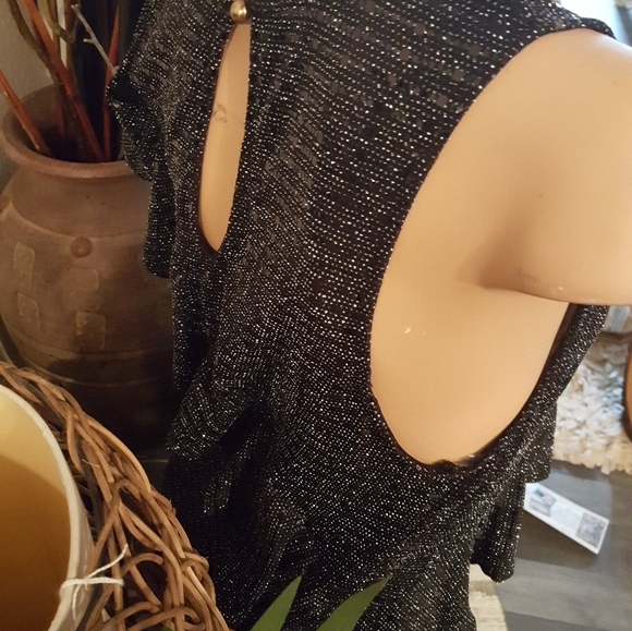 NWOT COCKTAIL DRESS BLACK AND SILVER SHIMMER R - Picture 2 of 16